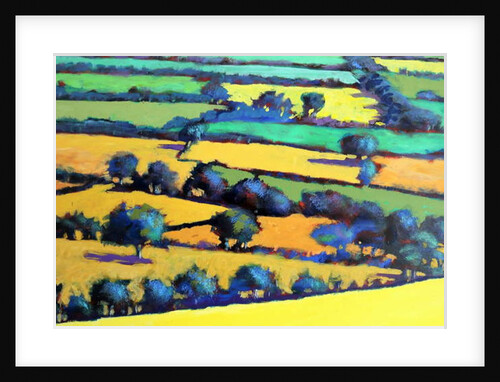 Whiteleaved oak close up 4, 2019 by Paul Powis