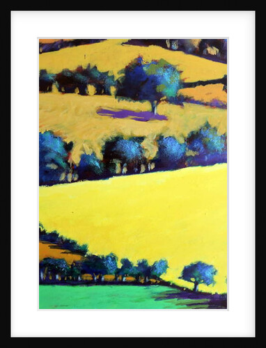 Whiteleaved oak close up 3, 2019 by Paul Powis