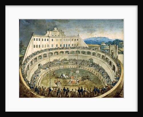 Bullfight by Bartolomeo Pinelli