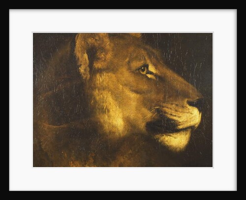 Head of a Lioness by Theodore Gericault