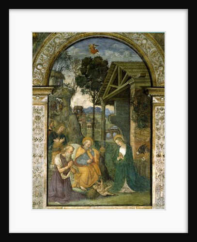 Nativity, c.1484-92 by Bernardino di Betto Pinturicchio