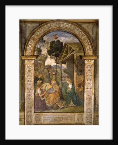 Adoration of the Child, c.1490 by Bernardino di Betto Pinturicchio