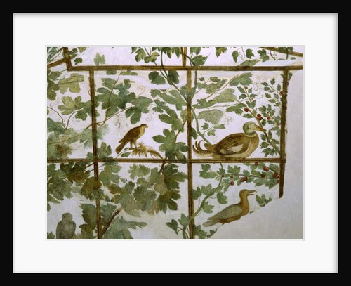 Fresco of an Aviary in the Villa Medici, c.1576-77 by Jacopo Zucchi