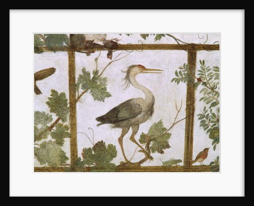 Ibis, from a Fresco of an Aviary in the Villa Medici, c.1576-77 by Jacopo Zucchi