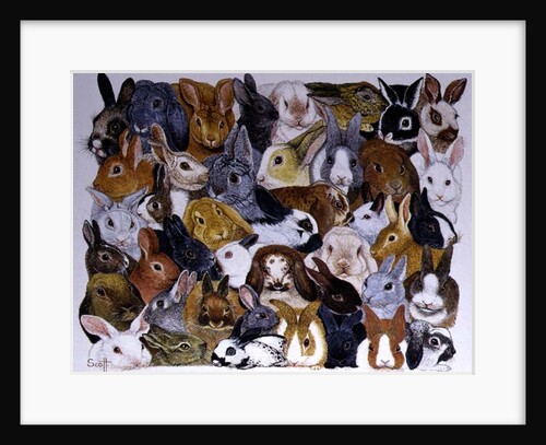 Bright Eyes by Pat Scott