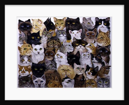 Just the Cat's Whisker by Pat Scott