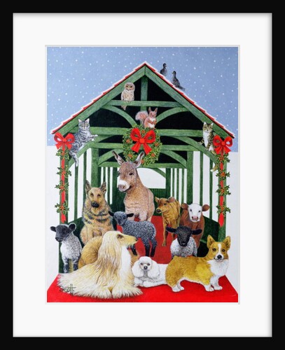 Protected by Pat Scott