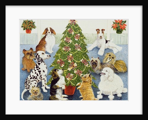 Anticipation by Pat Scott