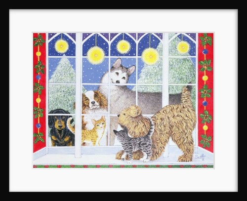 Join the Party by Pat Scott