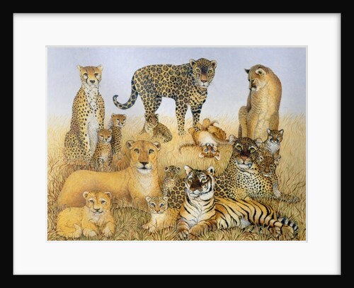 The Big Cats by Pat Scott