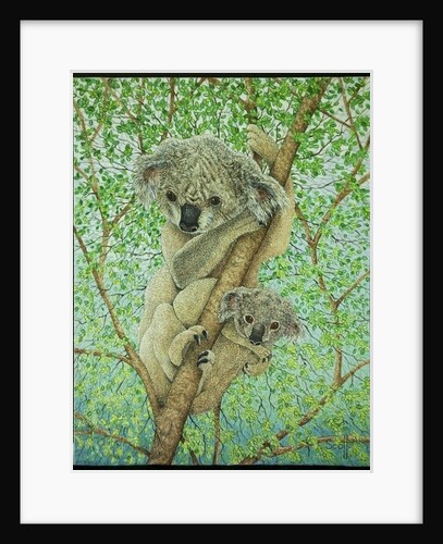 Top of the tree by Pat Scott