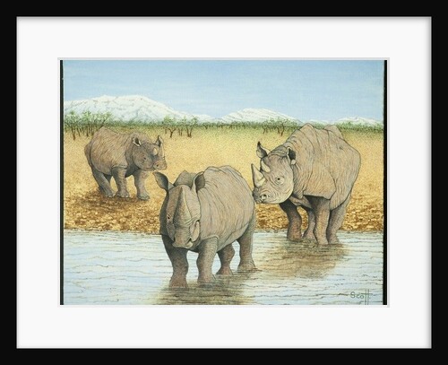 A tough life by Pat Scott