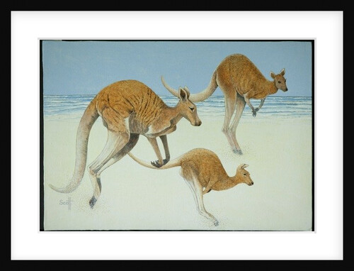 Leaping ahead by Pat Scott