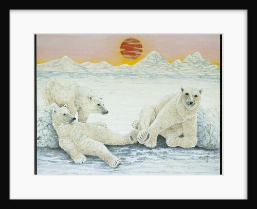 A long days night by Pat Scott