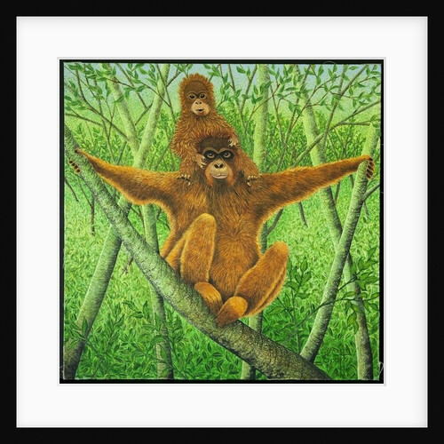 Hang on in there by Pat Scott