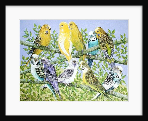 Sweet Talking by Pat Scott