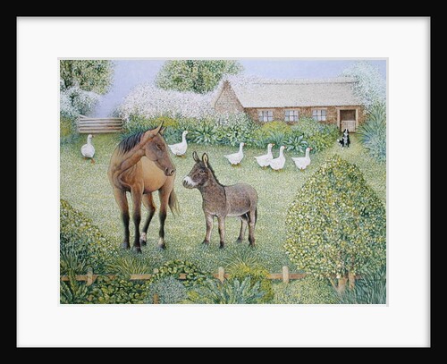 Companions by Pat Scott