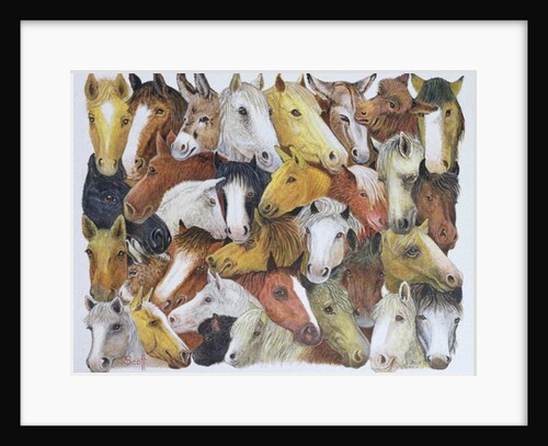 Horses Horses by Pat Scott