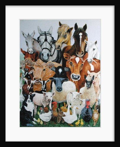 Animal Allsorts by Pat Scott