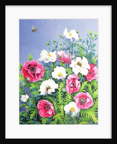 Honey Bee, Honey Bee by Pat Scott