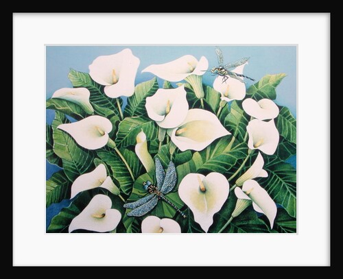 Dragon Flies by Pat Scott