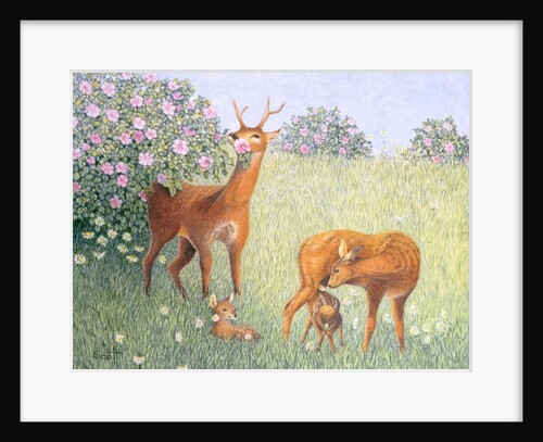 Deer Family by Pat Scott