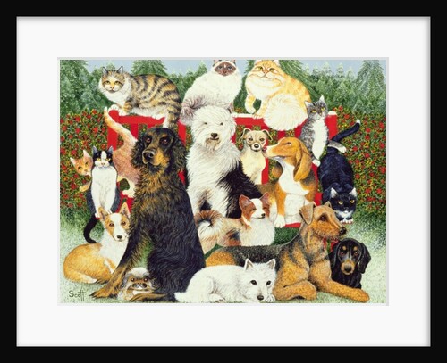 Christmas Peace by Pat Scott