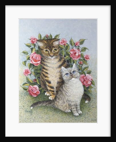 Attraction by Pat Scott