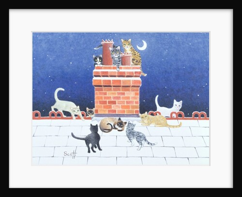 Midnight Madness by Pat Scott