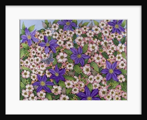 A Purple Patch, 2011 by Pat Scott