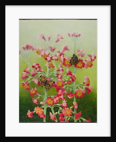 In the Pink, 2011 by Pat Scott