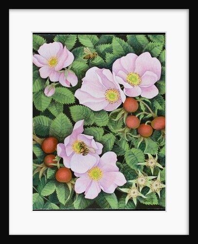 Team Work, 2011 by Pat Scott