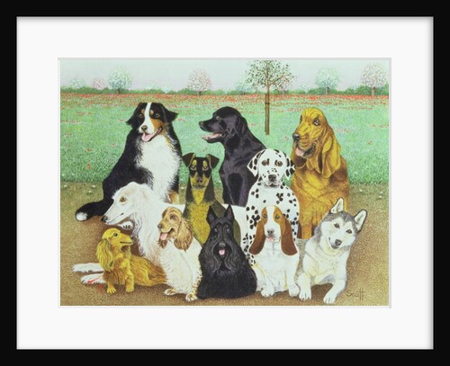 Dog Watch by Pat Scott