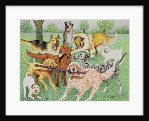 Catch and Carry by Pat Scott