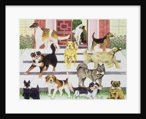 Party Presents by Pat Scott