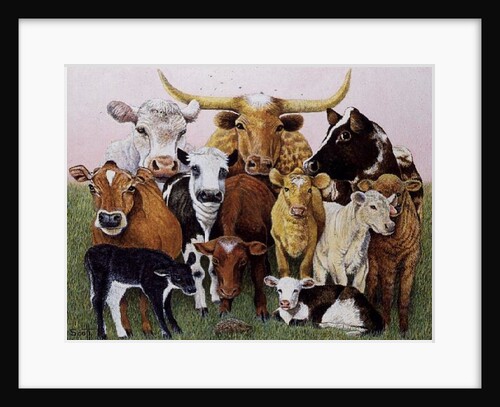 A Surprising Stranger by Pat Scott