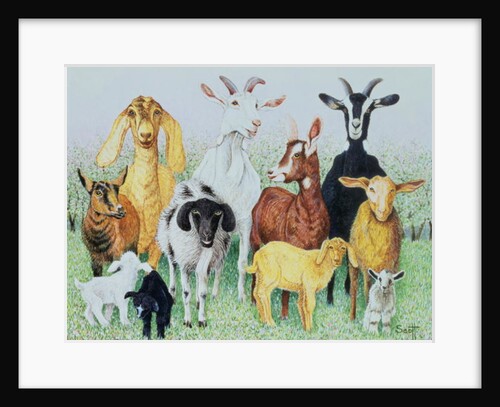 In Clover by Pat Scott