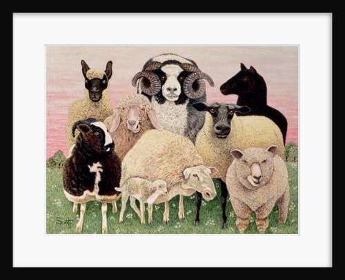 Shepherds Delight by Pat Scott