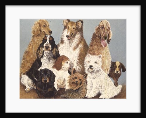 Dogs' Dinner by Pat Scott