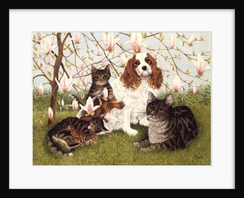 Constance's Tree by Pat Scott