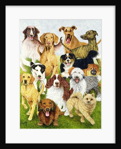 Dog Days by Pat Scott