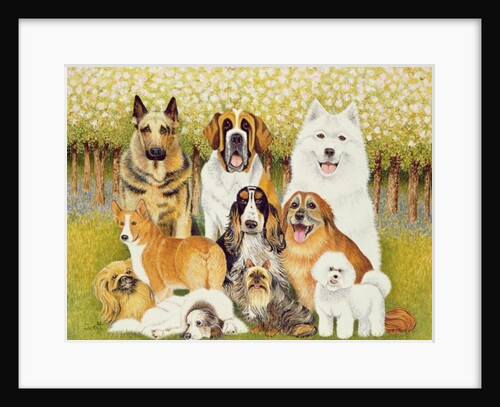 Dogs in May by Pat Scott