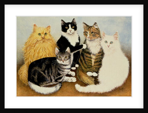 Cat's Cradle by Pat Scott