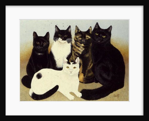 Miss Cox's Cats by Pat Scott