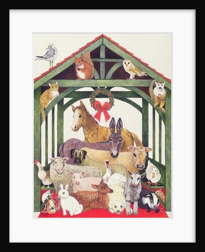 Sheltered by Pat Scott