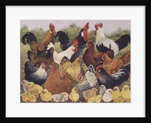 Something to Crow About by Pat Scott