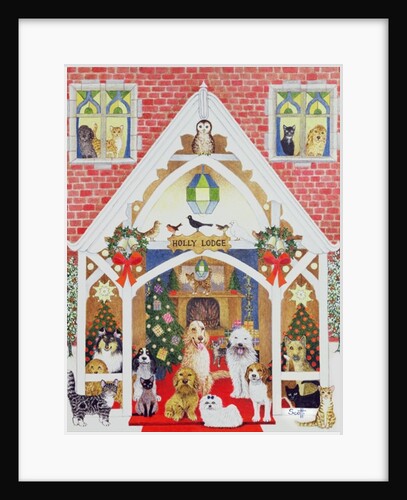 Love from Holly Lodge by Pat Scott