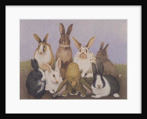 Lucky rabbits by Pat Scott