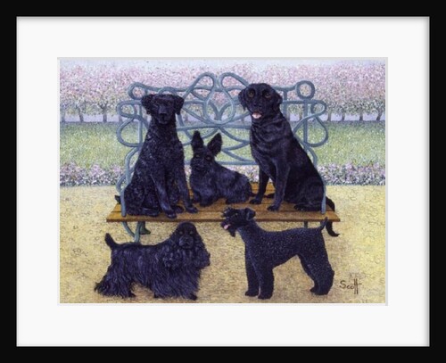 A seat in the park by Pat Scott