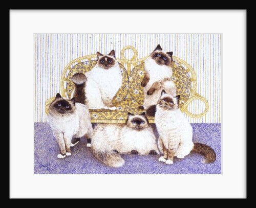 Chocolate creams by Pat Scott